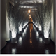 Melania’s White House Christmas decorations, 2017.